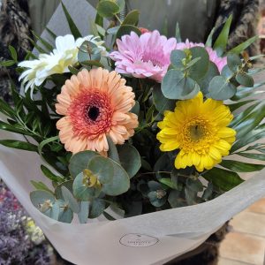 Ram Gerberes de Colors