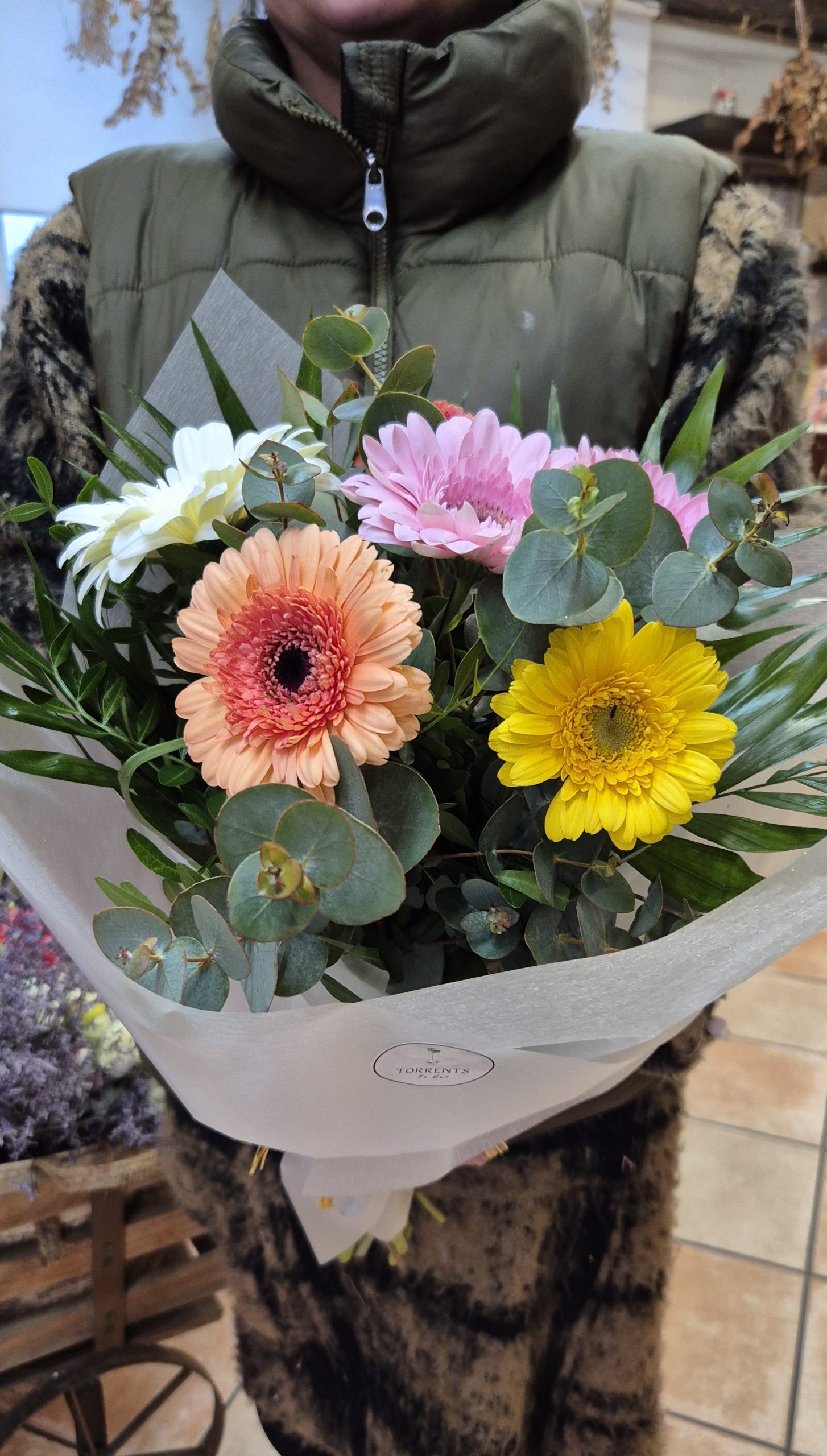 Ram Gerberes de Colors